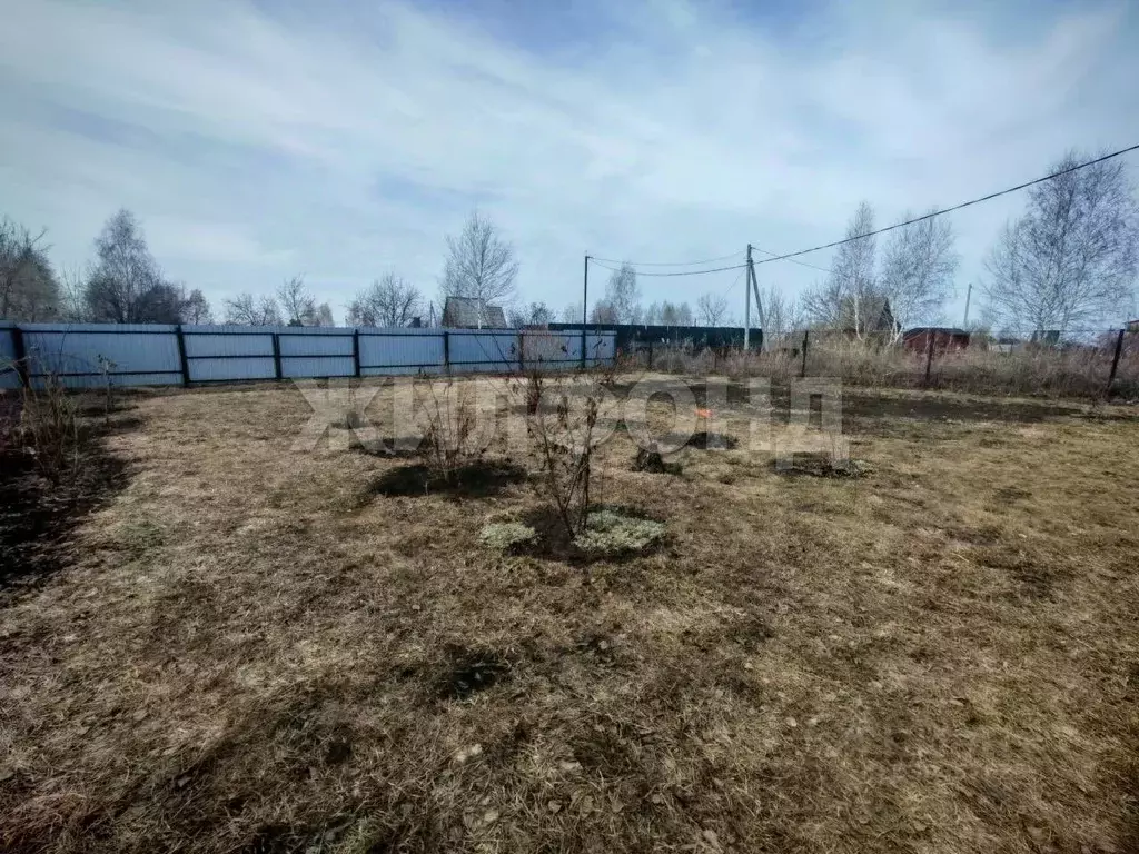 Участок в Новосибирская область, Бердск Вега-4 СНТ,  (5.8 сот.) - Фото 1