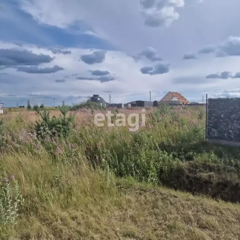 Участок в Тюменская область, Тюменский муниципальный округ, д. Елань, ... - Фото 1