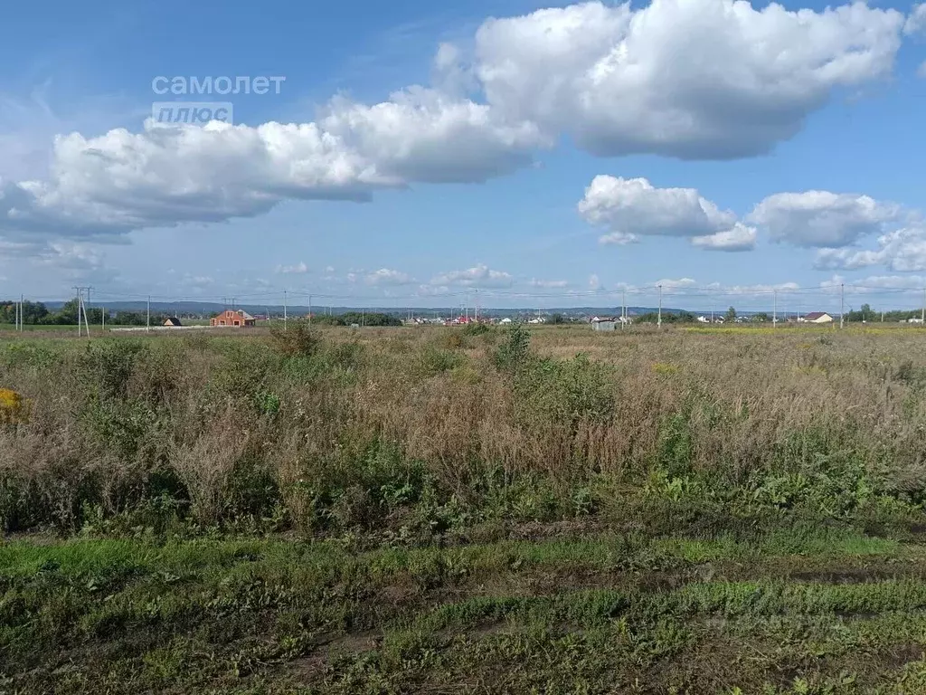 Участок в Башкортостан, Кармаскалинский район, д. Кабаково Шоссейная ... - Фото 1