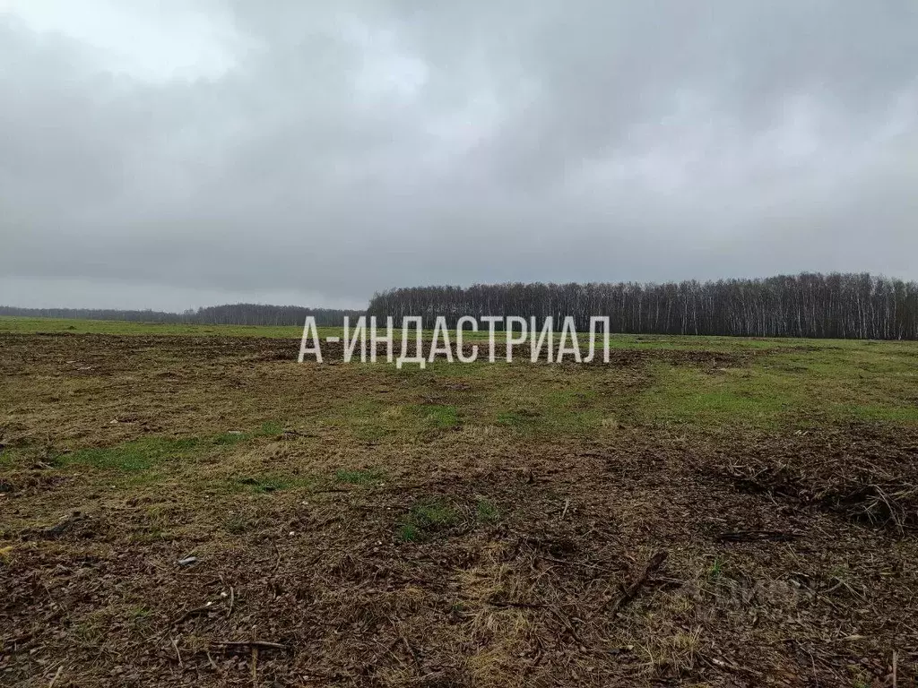 Участок в Московская область, Раменский муниципальный округ, с. ... - Фото 1