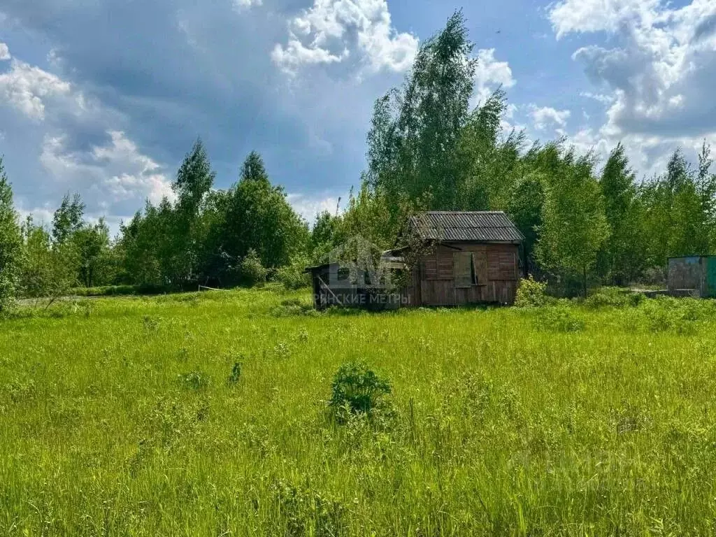 Участок в Брянская область, Брянский район, Добрунское с/пос, Полет ... - Фото 1