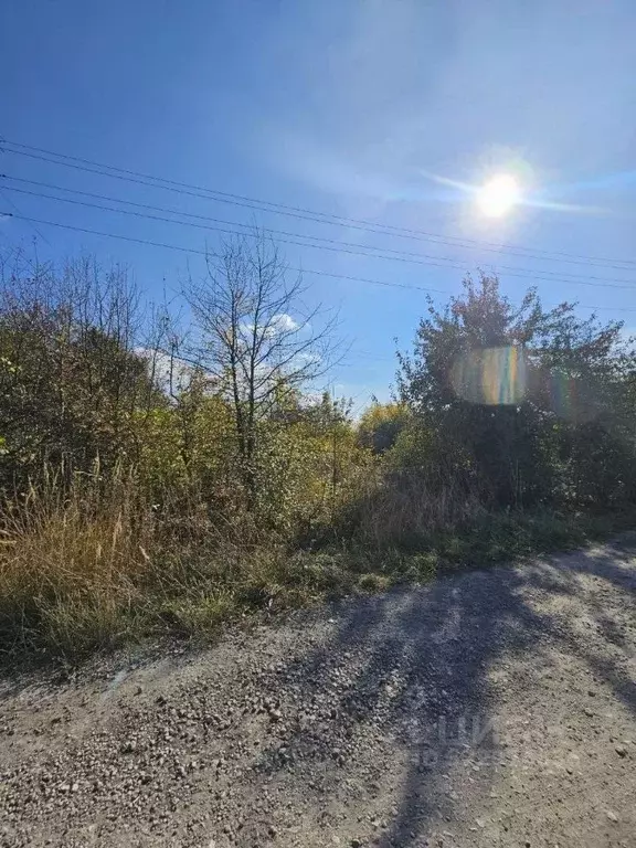 Участок в Ульяновская область, Ульяновский район, Зеленорощинское ... - Фото 1