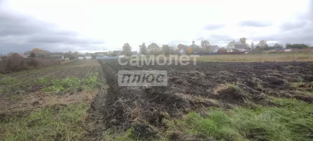 Участок в Брянская область, Брянский район, Отрадненское с/пос, с. ... - Фото 2