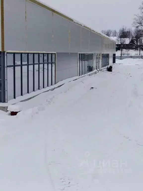 Помещение свободного назначения в Псковская область, Пушкинские Горы ... - Фото 2