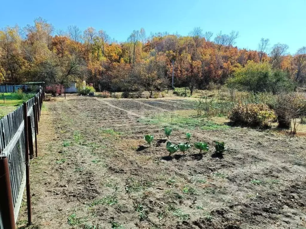 Участок в Амурская область, Благовещенск Фиалка СТ,  (13.7 сот.) - Фото 1