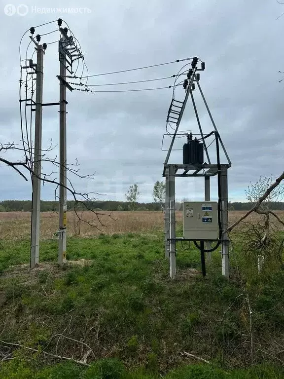 Участок в Балтийский городской округ, посёлок Дивное (11.4 м) - Фото 2