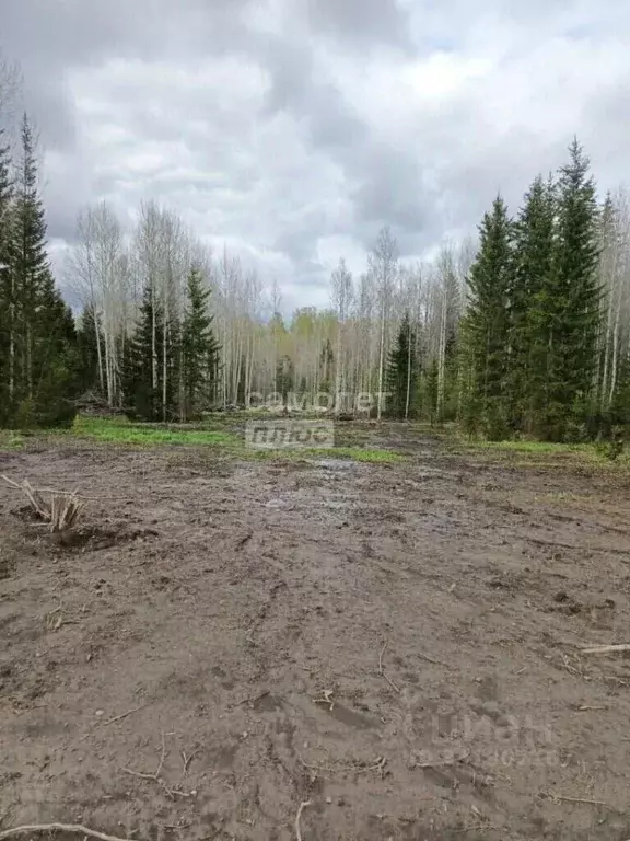 Участок в Томская область, Томск пос. Родионово, ул. Маршала Жукова, ... - Фото 1