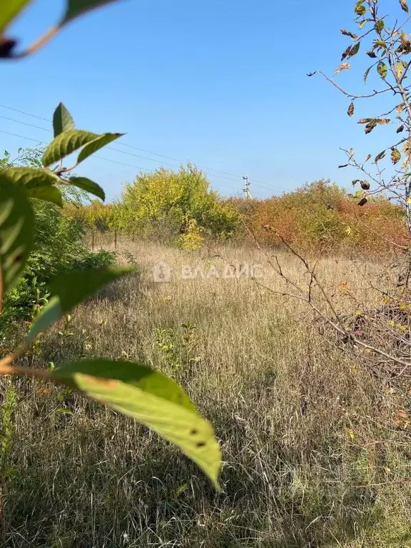 Участок в Белгородская область, Яковлевский муниципальный округ, ... - Фото 1