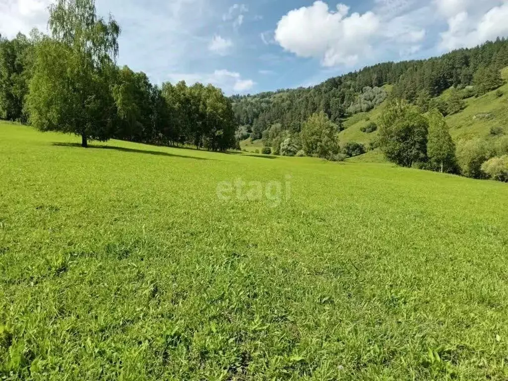 Участок в Алтай, Майминский район, с. Бирюля  (750.0 сот.) - Фото 1