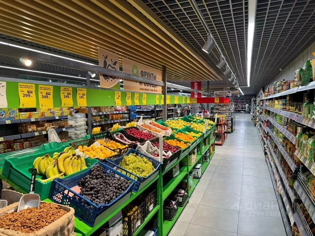 Торговая площадь в Алтайский край, Яровое ул. Пушкина, 6А (100 м) - Фото 2