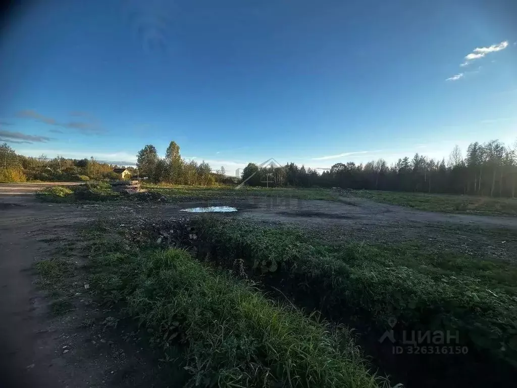 Участок в Новгородская область, Маловишерское городское поселение, д. ... - Фото 1