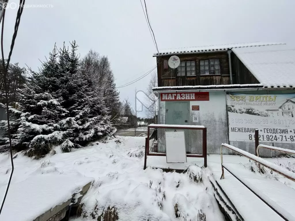 Помещение свободного назначения (50 м) - Фото 0