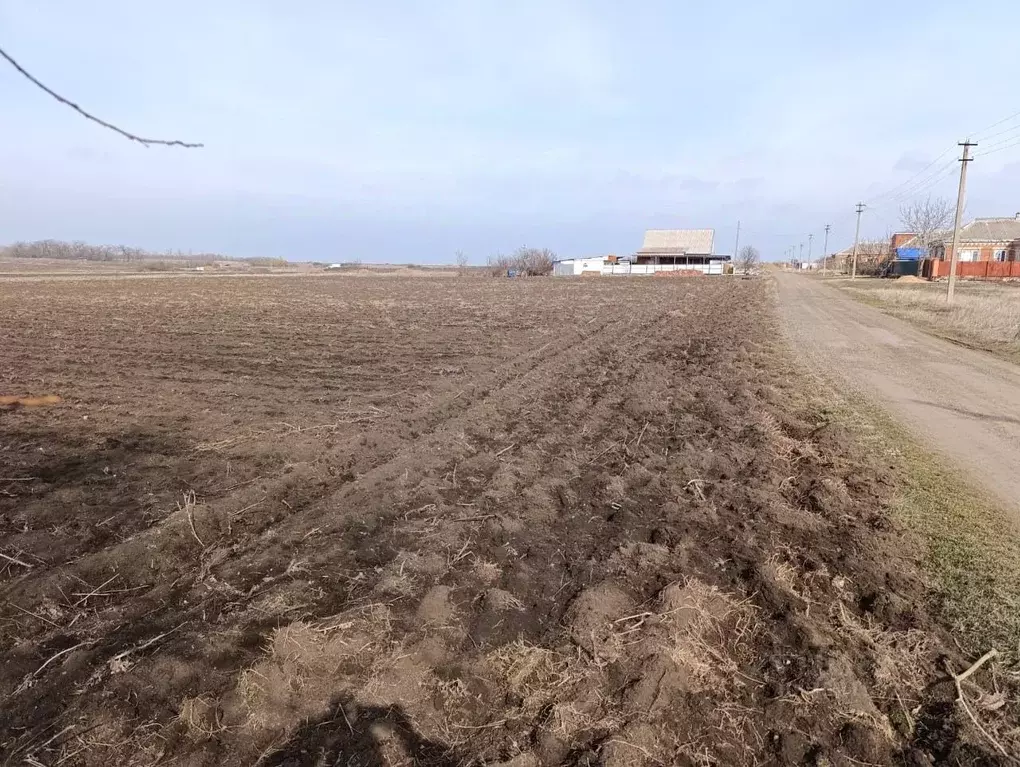 Участок в Краснодарский край, Щербиновское с/пос, пос. Щербиновский ... - Фото 2