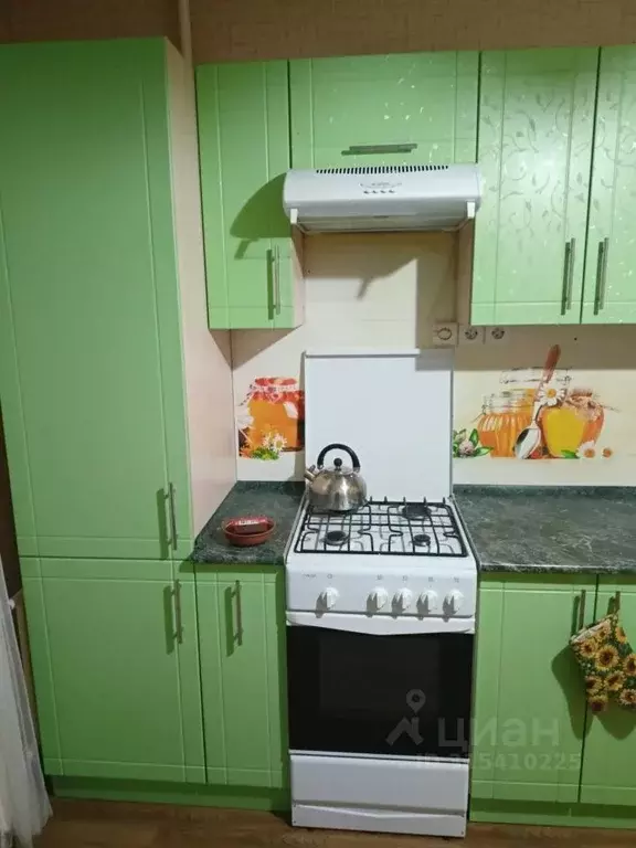 1-к кв. Псковская область, Псков ул. Юности, 15/130 (35.8 м) - Фото 1