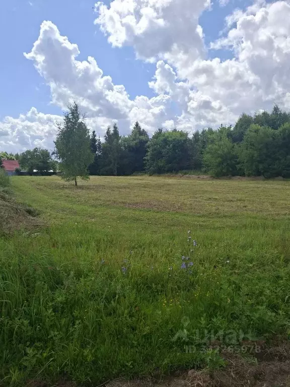 Участок в Московская область, Ступино городской округ, д. Кануново  ... - Фото 1