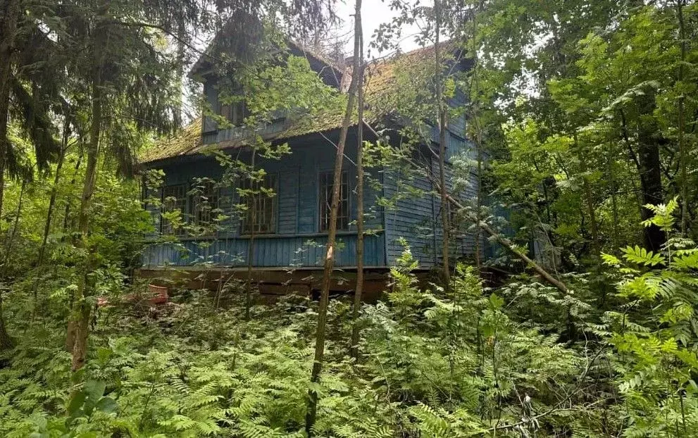 Дом в Ленинградская область, Всеволожск Торговый просп., 179 (99 м) - Фото 0