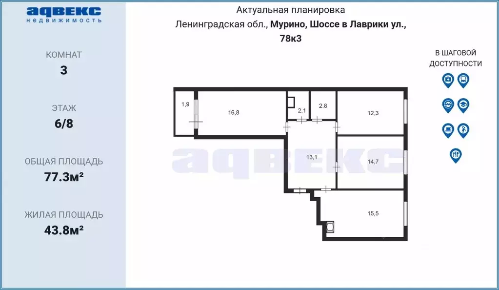 3-к кв. Ленинградская область, Мурино Всеволожский район, ул. Шоссе в ... - Фото 1