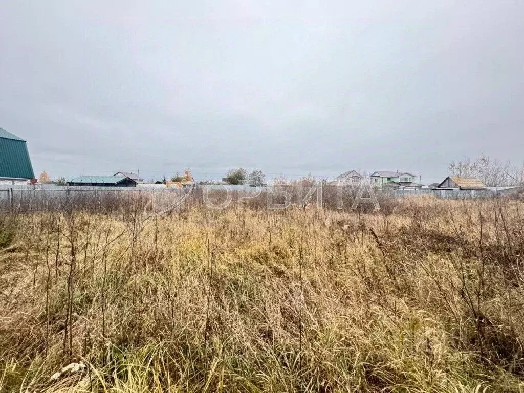 Участок в Тюменская область, Тюменский муниципальный округ, с. Луговое ... - Фото 0