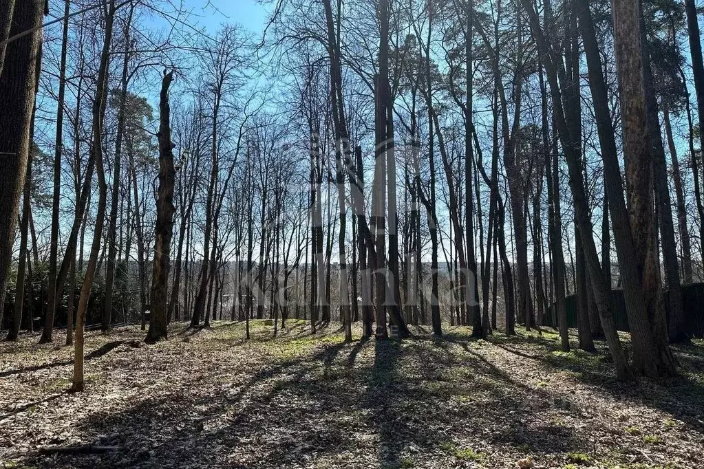 Участок в Московская область, Красногорск городской округ, с. ... - Фото 2