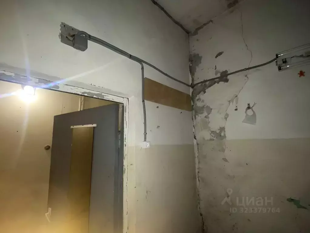 Торговая площадь в Санкт-Петербург Малая Пушкарская ул., 28 (38 м) - Фото 2