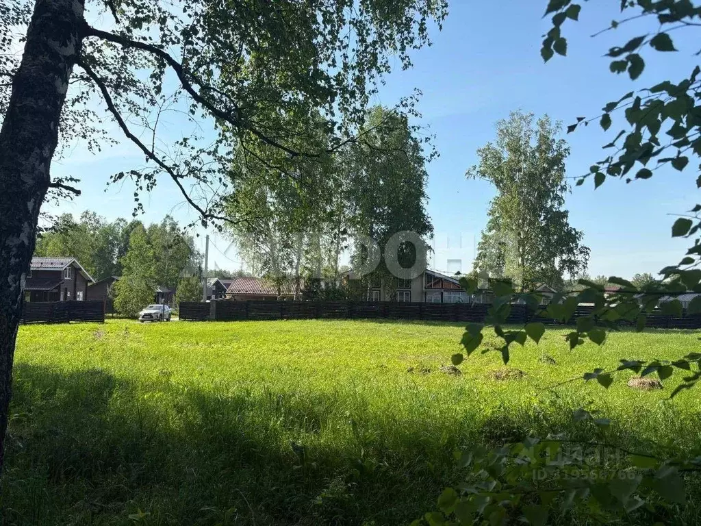 Участок в Новосибирская область, Новосибирский район, Кубовинский ... - Фото 1