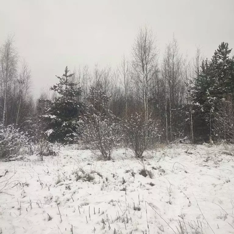 Участок в Московская область, Павлово-Посадский городской округ, д. ... - Фото 0
