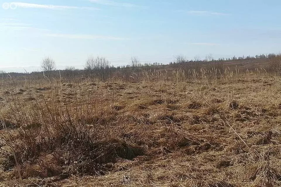 Участок в Тверская область, Калининский муниципальный округ, посёлок ... - Фото 1