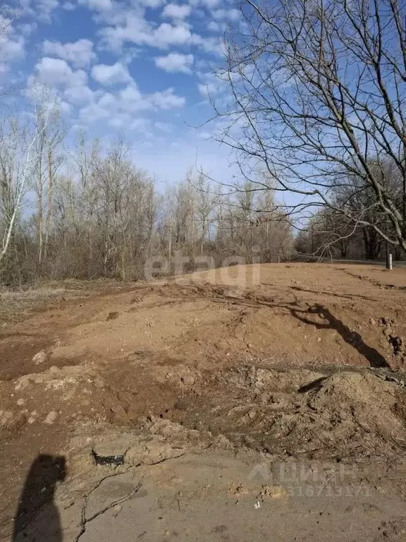 Участок в Волгоградская область, Среднеахтубинский район, Ахтубинское ... - Фото 2
