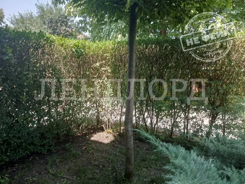 Участок в Ростовская область, Ростов-на-Дону 3-я Тернистая ул. (6.6 ... - Фото 1