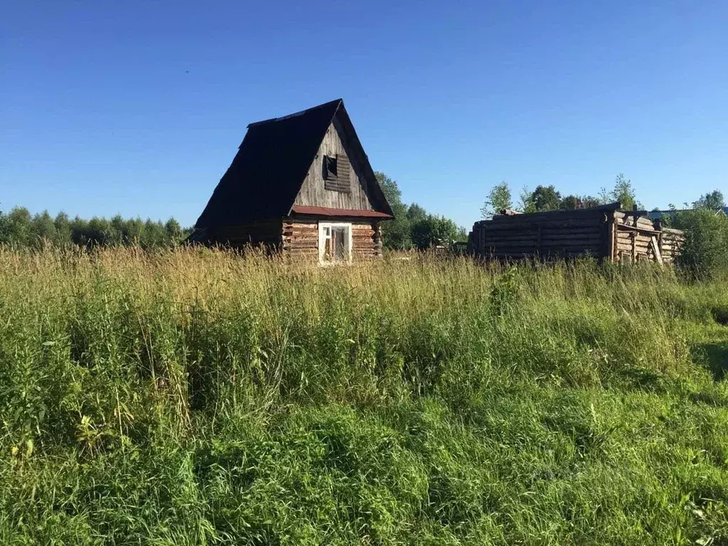 Дом в Кировская область, Оричевский район, д. Веселухи  (36 м) - Фото 1