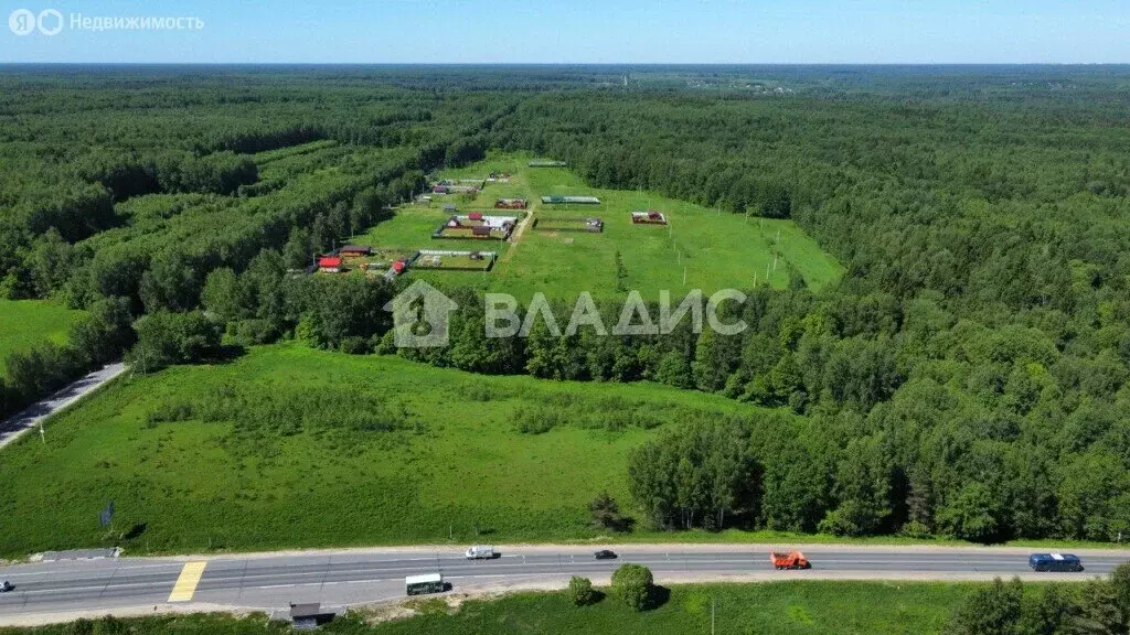 Участок в Судогодский район, муниципальное образование Головинское, ... - Фото 1