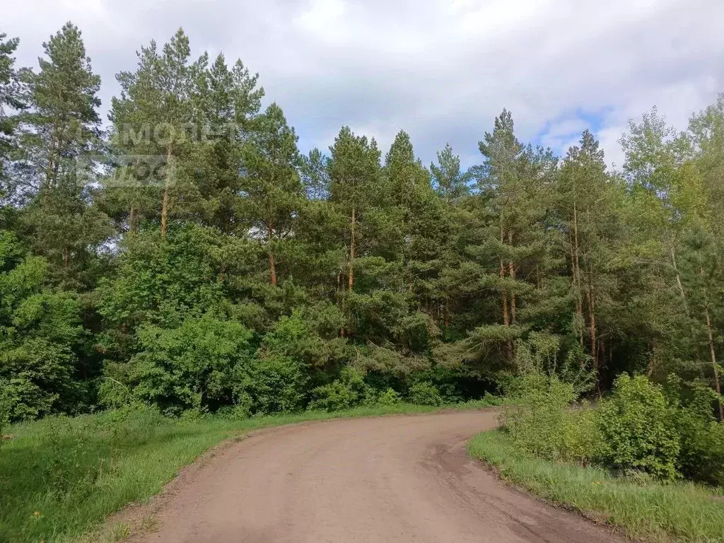 Участок в Башкортостан, Чишминский район, Лесной сельсовет, с. ... - Фото 1