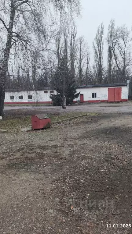 Склад в Воронежская область, Бобровский район, Слободское с/пос  ... - Фото 0
