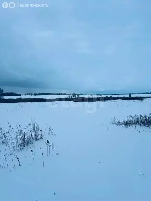 Участок в Калининградская область, Гвардейский муниципальный округ, ... - Фото 1