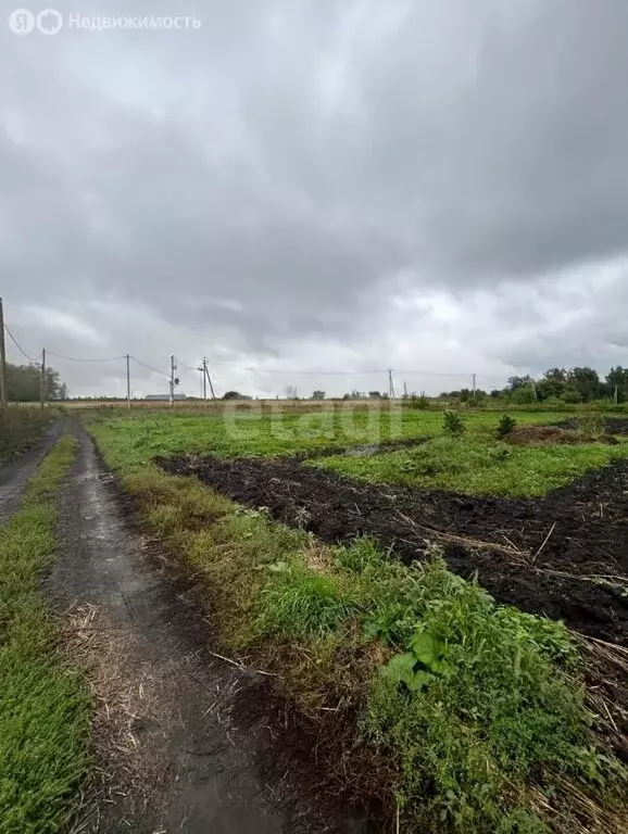 Участок в село Елыкаево, Береговая улица (15 м) - Фото 0