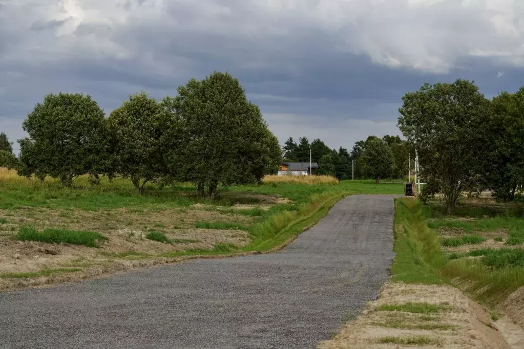 Участок в Ленинградская область, Всеволожский район, Куйвозовское ... - Фото 1
