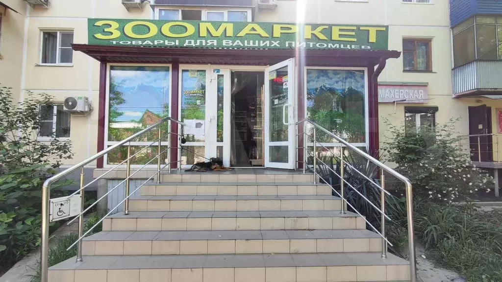 Аренда помещения свободного назначения 1й этаж 52 кв.м - Фото 1