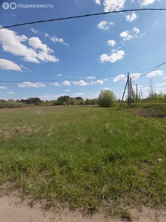 Участок в Приозерский район, Ромашкинское сельское поселение, посёлок ... - Фото 1