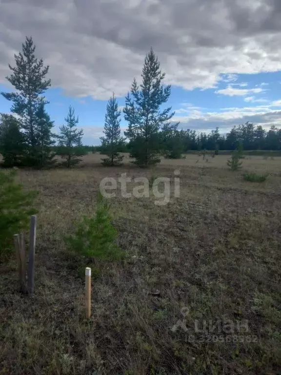 Участок в Саха (Якутия), Якутск городской округ, с. Тулагино, ... - Фото 1
