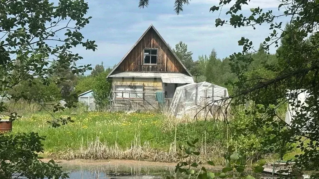 Дом в Вологодская область, Сокольский муниципальный округ, Сокольский ... - Фото 0