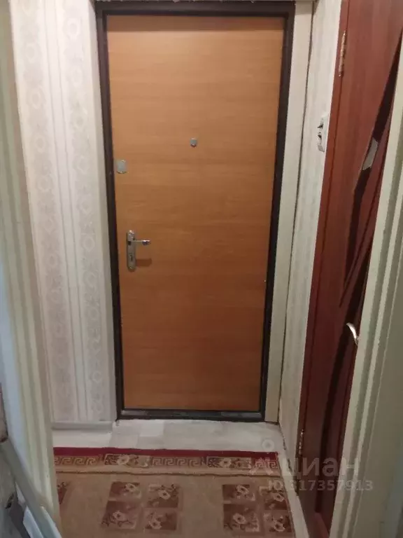 1-к кв. Нижегородская область, Саров ул. Бессарабенко, 19 (21.0 м) - Фото 1