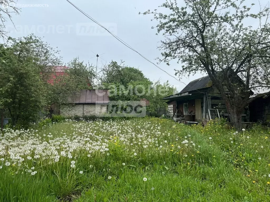 Дом в Ликино-Дулёво, улица Новикова-Прибоя (56 м) - Фото 1