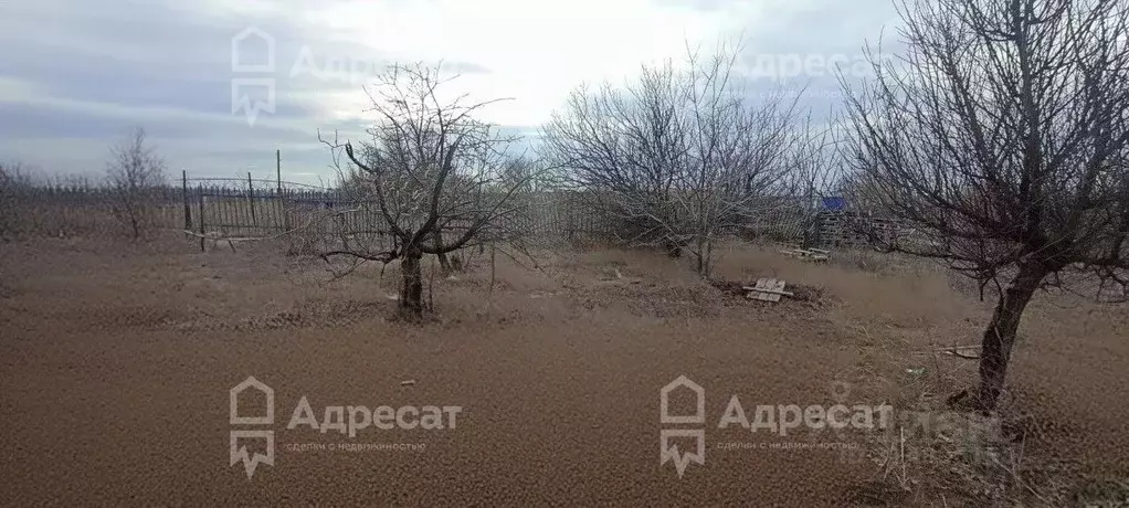 Дом в Волгоградская область, Среднеахтубинский район, Фрунзенское ... - Фото 1