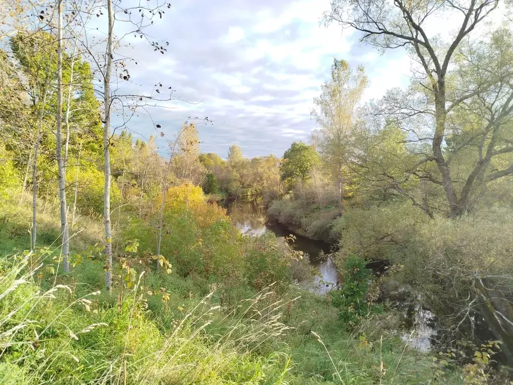 Участок в Новгородская область, Старорусский район, Новосельское ... - Фото 1