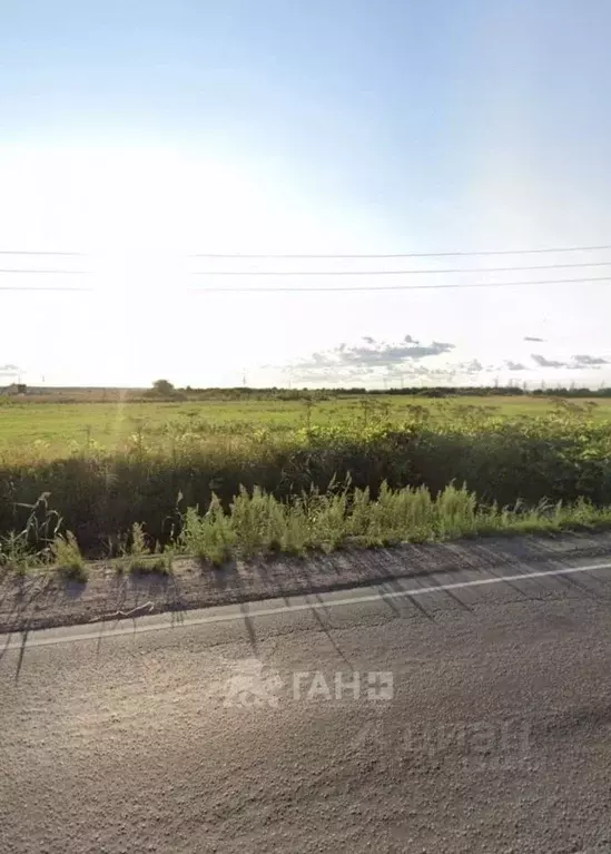 Участок в Ленинградская область, Тосненский район, Тельмановское ... - Фото 0