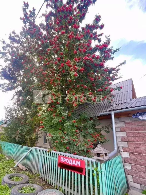 Дом в Новосибирская область, Новосибирск 15-й Бронный пер., 72 (63 м) - Фото 0