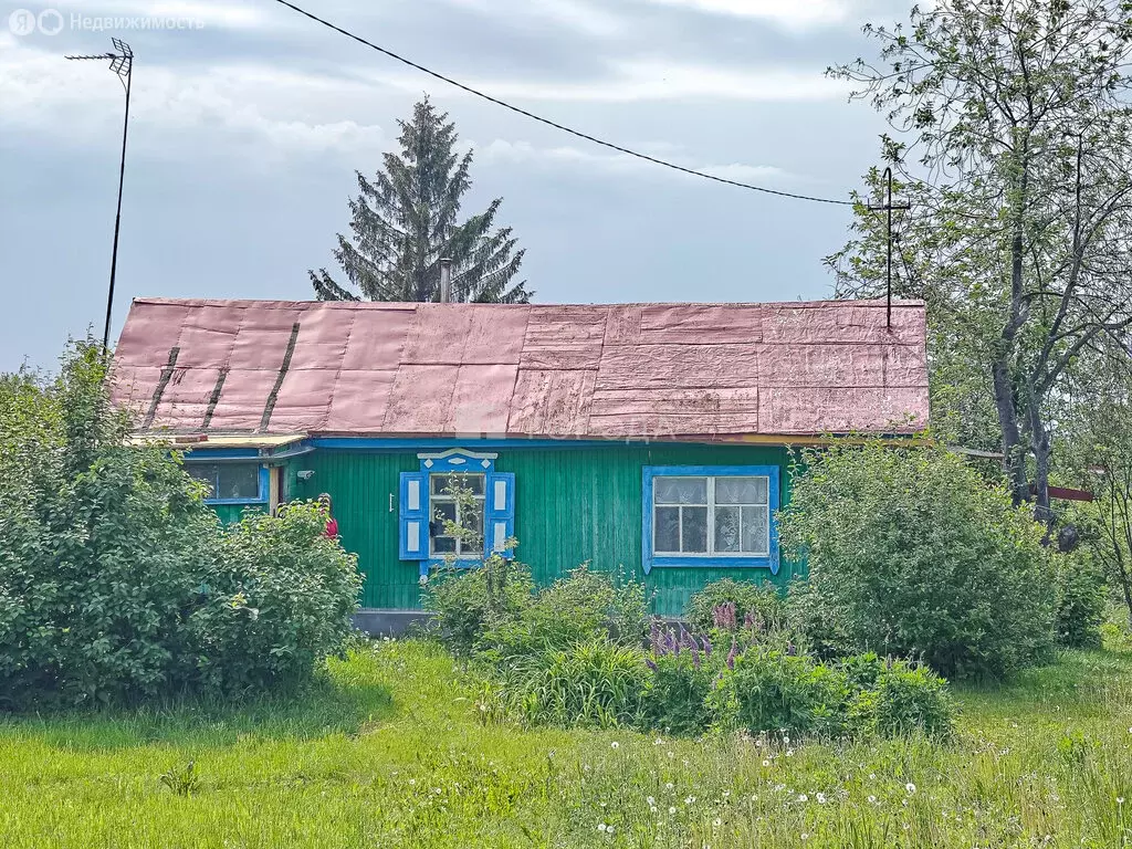 Дом в Колыванский район, СНТ Электрон, Озёрный переулок, 35 (42 м) - Фото 1