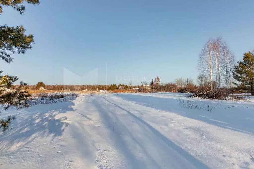 Участок в Тюменская область, Тюменский район, Янтарное ДНТ  (7.4 сот.) - Фото 1