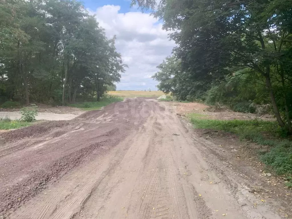 Участок в Курская область, Курский район, Нижнемедведицкий сельсовет, ... - Фото 0