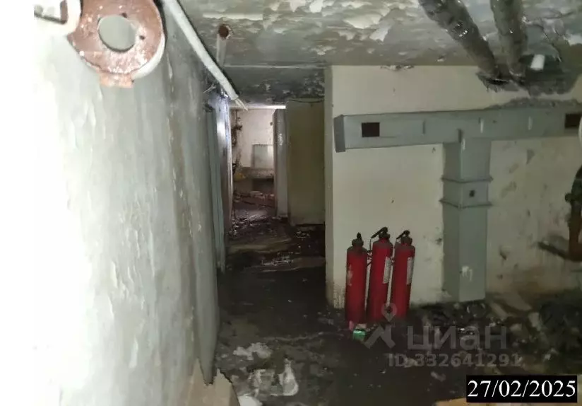 Помещение свободного назначения в Нижегородская область, Нижний ... - Фото 1